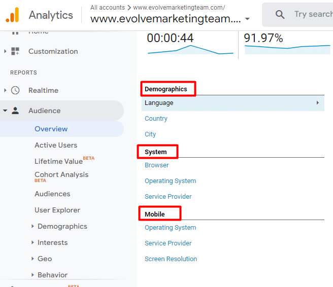 Red boxes highlighting the demographic details available in the UA audience overview report.