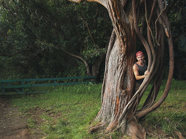 Donny with winding tree truck