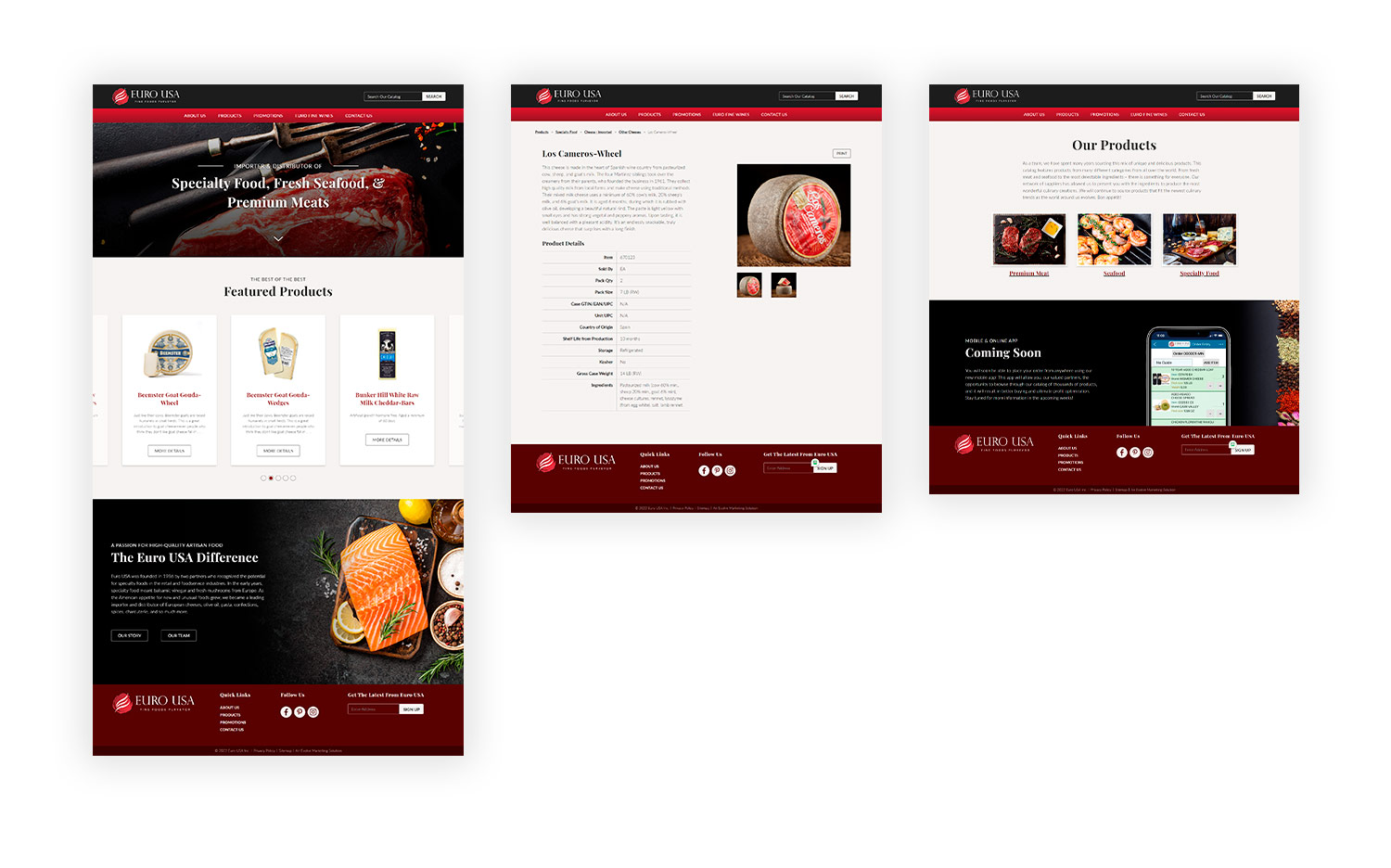Subpage image mockups of Euro USA website