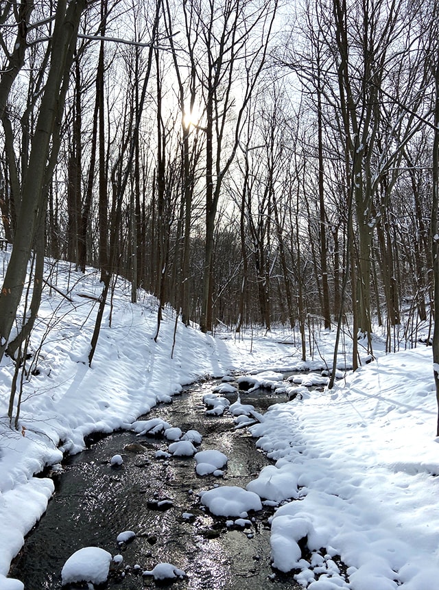 Picture of snow outdoors.