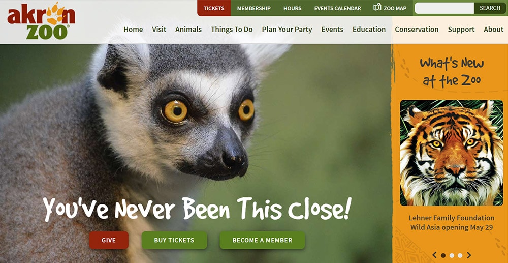 Akron website development for Akron Zoo.