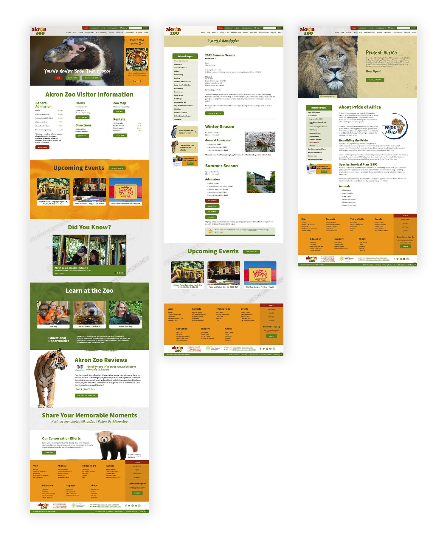 Three mockup images of Akron Zoo website