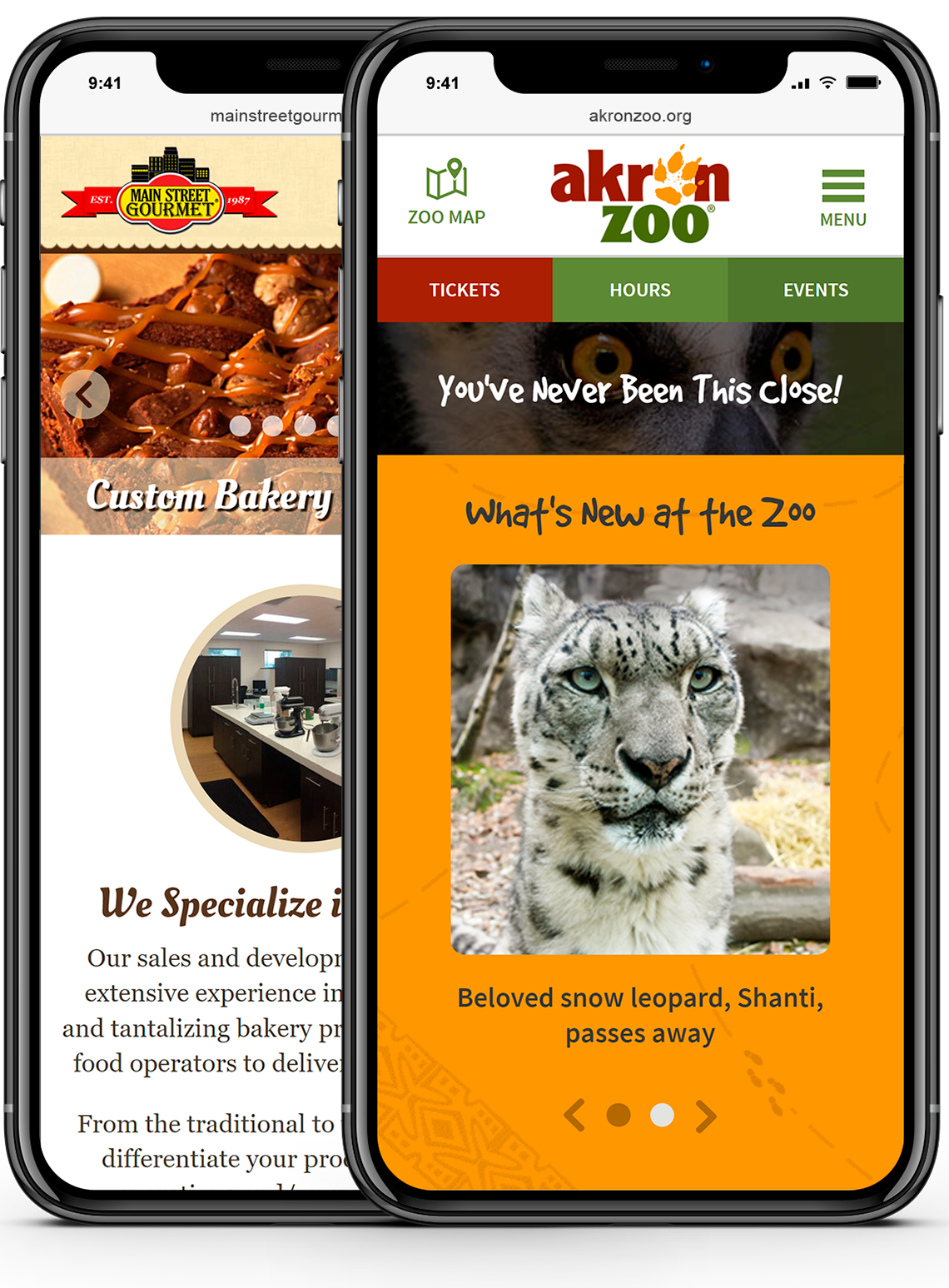 Akron Zoo and Main Street Gourmet Mobile Phone Web Designs