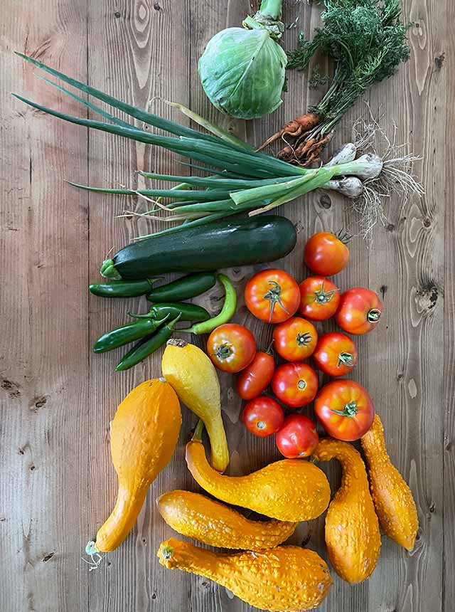 Garden vegetables on table