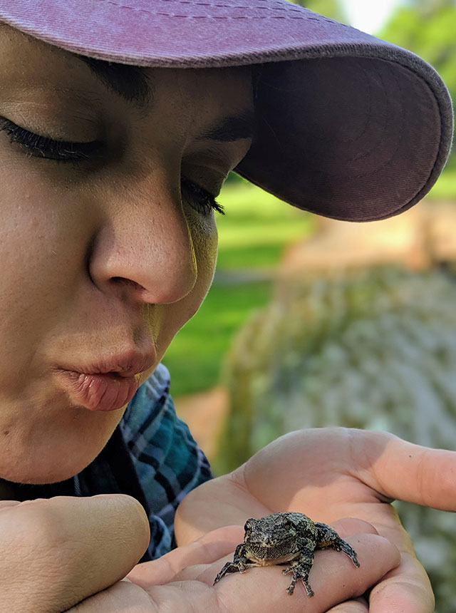 Sierra with tree frog