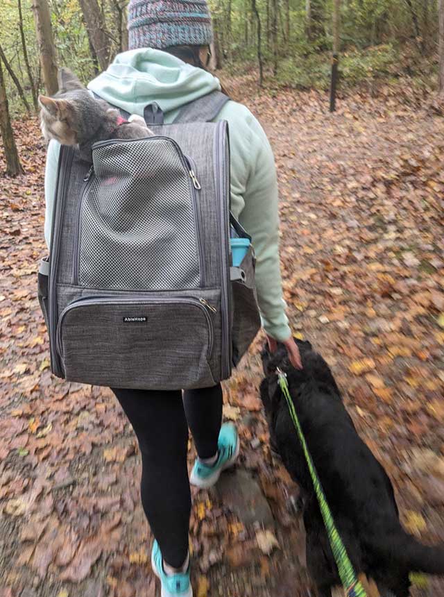 Sierra walking dog in the park