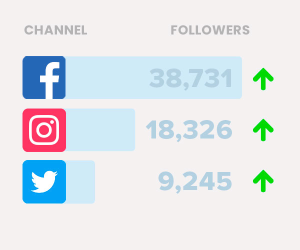 Graphic of social media channels and followers