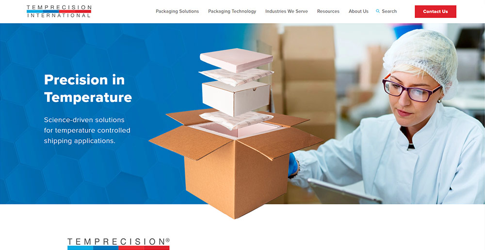 Temprecision Homepage website design