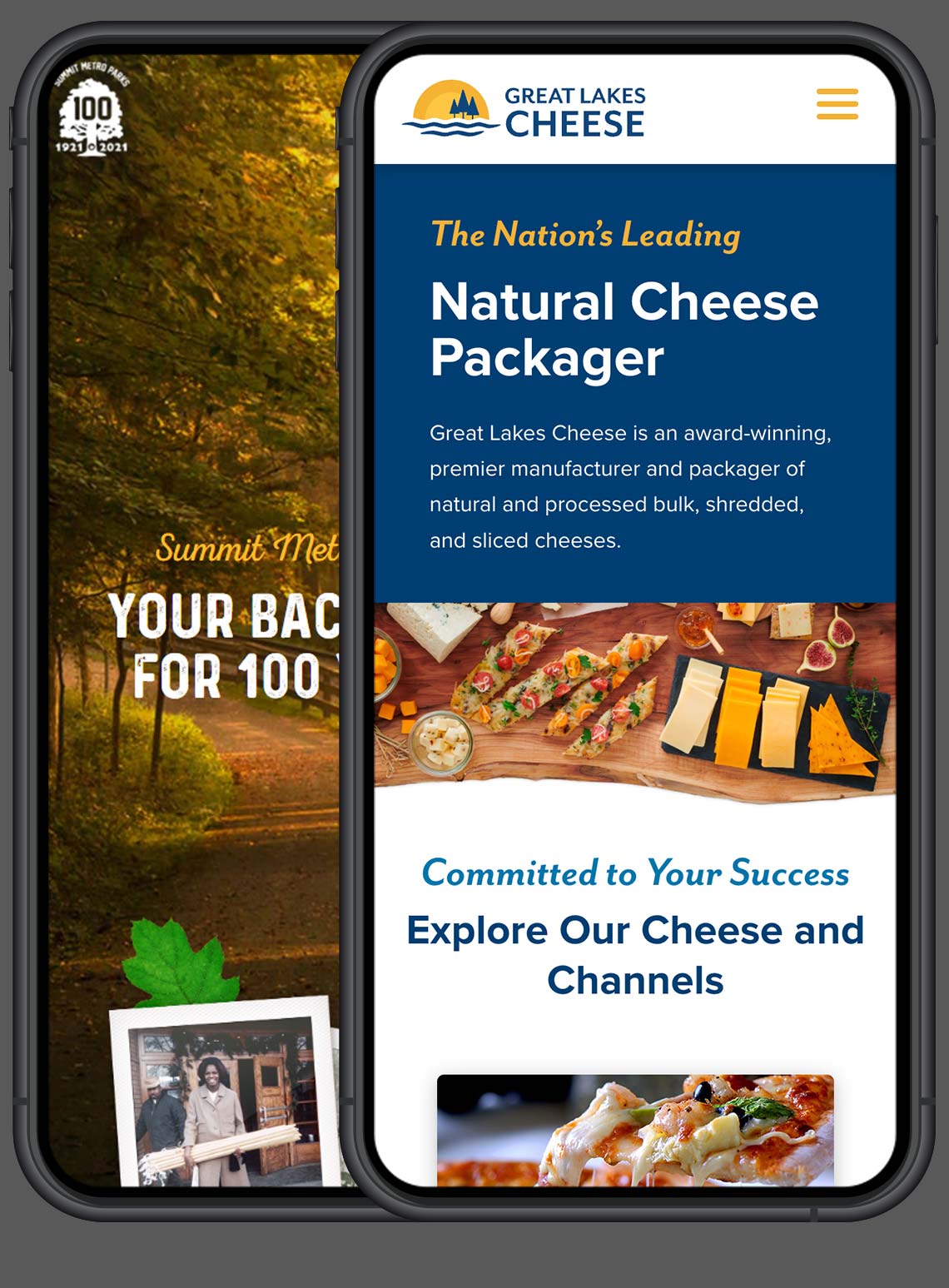 Mobile akron website design samples